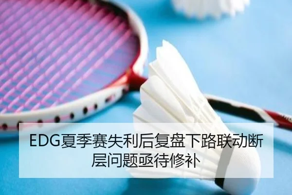 EDG夏季赛失利后复盘下路联动断层问题亟待修补